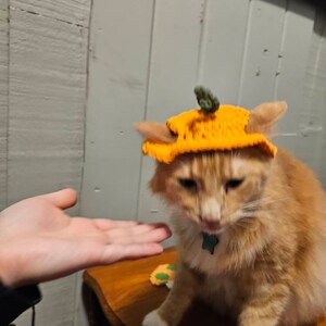 Hannah added a photo of their purchase