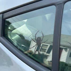 Byrd added a photo of their purchase