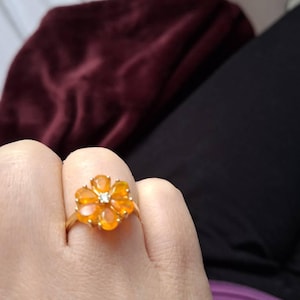 Anne ha añadido una foto de su compra