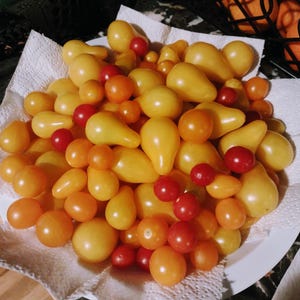 Victoria added a photo of their purchase