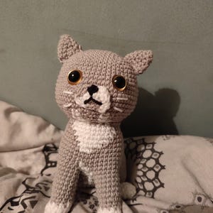 Helen added a photo of their purchase