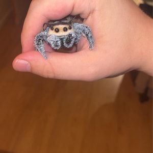 david added a photo of their purchase