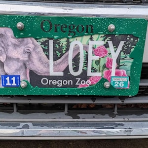 Loey added a photo of their purchase