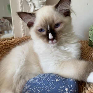 Claire added a photo of their purchase