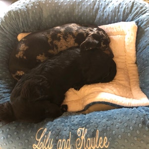Emily added a photo of their purchase