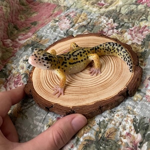 Mikayla added a photo of their purchase