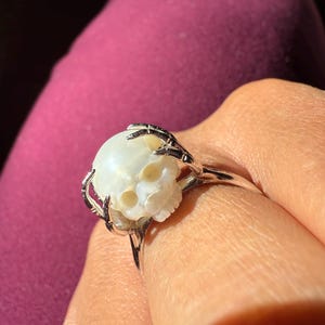D added a photo of their purchase