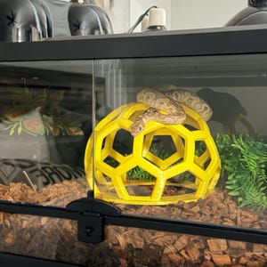 Gus hat ein Foto des gekauften Artikels hinzugefügt