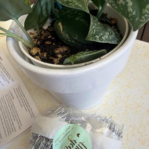 Etsy buyer added a photo of their purchase