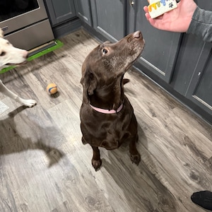 Penny added a photo of their purchase