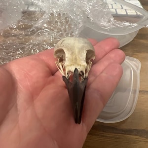 Amy added a photo of their purchase