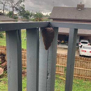 Comprador de Etsy ha añadido una foto de su compra