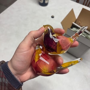 Molly heeft een foto van de aankoop toegevoegd