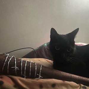 Calvin added a photo of their purchase