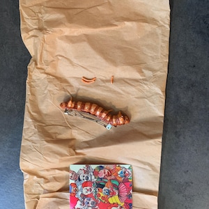 Allison hat ein Foto des gekauften Artikels hinzugefügt