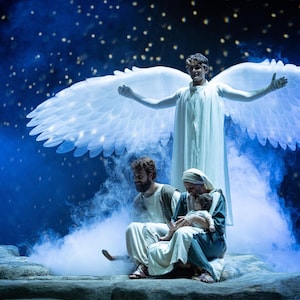 Gold Mirror Cosplay Carousel Costume With Gold Mirror Moving Horses to ...