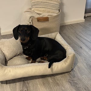 4L Textil Teo knuffelig hondenbed hoes afneembaar en wasbaar hondenmand middelgrote hondenkussen pluizige hondenmand hondenbank(Donkergrijs,80x60 cm