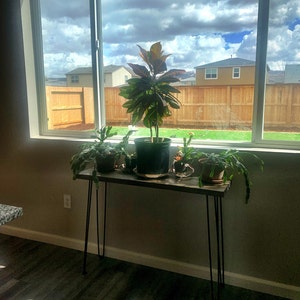 Hannah added a photo of their purchase