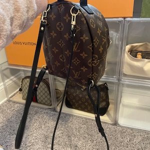 LOUIS VUITTON Palm Spring Mini Backpack Review (What Fits Inside, How to  Wear, Durability + more!) 