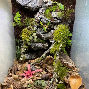 Acquirente Etsy ha aggiunto una foto del proprio acquisto