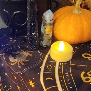 Nico added a photo of their purchase