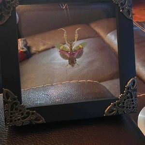 RoseMary ha añadido una foto de su compra