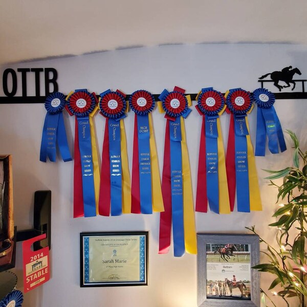 Showoff Ribbon Rack #00167W - off the Track Thoroughbred / OTTB - Etsy