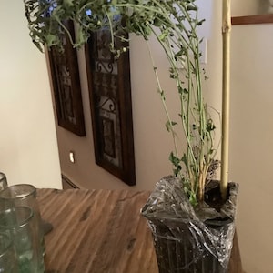 Graceie added a photo of their purchase