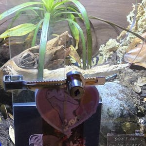 Liz added a photo of their purchase