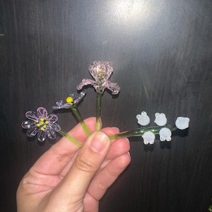 Paulina added a photo of their purchase