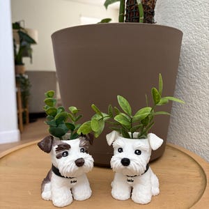 Janine added a photo of their purchase