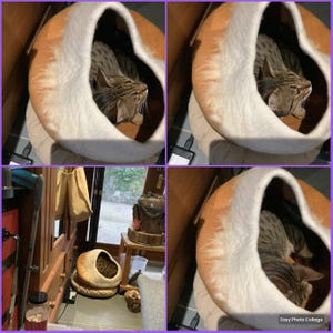 Sally added a photo of their purchase