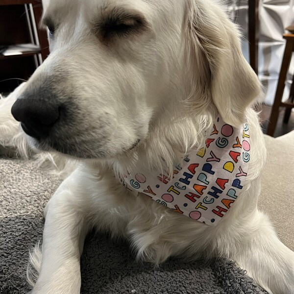 CLEMSON TIE AROUND BANDANA, Large-XLarge - Fred Meyer