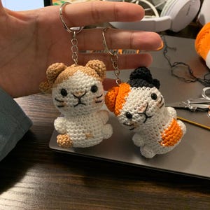 六角ハウスBusyCat(キャットステップ)-MYZOO【nekokobo select
