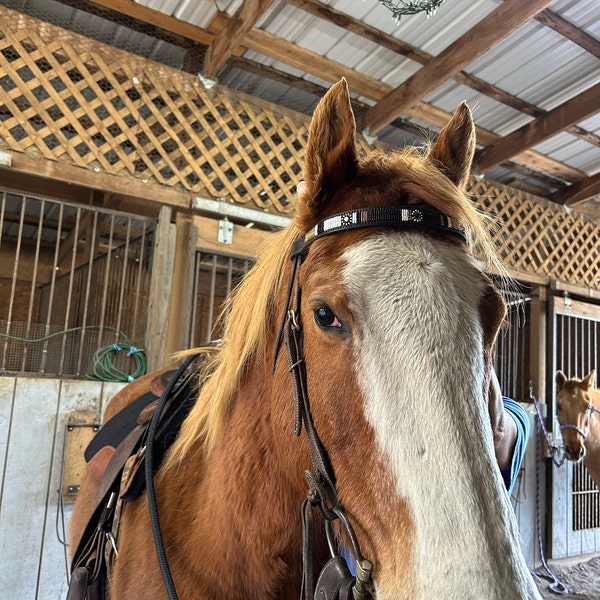 CHALLENGER Horse Western Tack Brown Leather Pink Rawhide Rommel Romel Romal Reins 6687PK