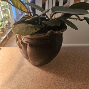Kathleen added a photo of their purchase