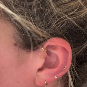 Taylor hat ein Foto des gekauften Artikels hinzugefügt