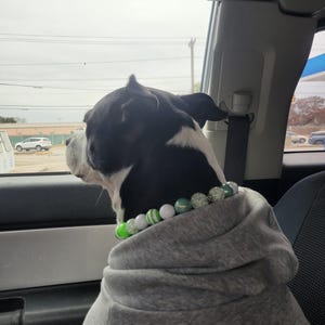 Valerie added a photo of their purchase