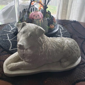 Heather added a photo of their purchase