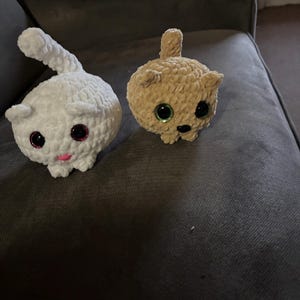 Amy added a photo of their purchase