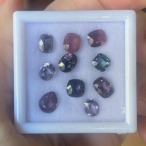 otis さんが購入した商品の写真を追加しました
