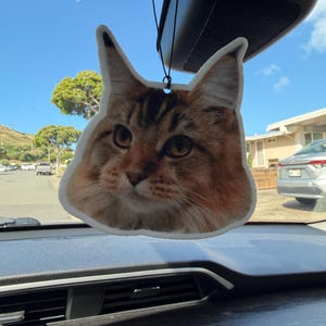 Kim added a photo of their purchase