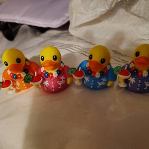 Kathy さんが購入した商品の写真を追加しました