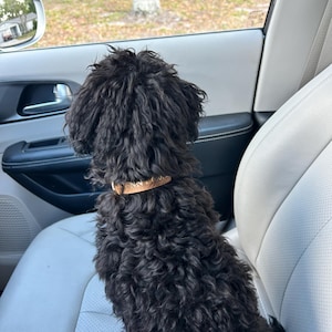 laura added a photo of their purchase