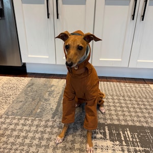 Maddie added a photo of their purchase