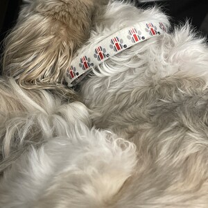Kelsey added a photo of their purchase