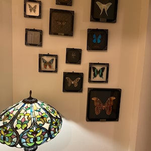Melissa added a photo of their purchase