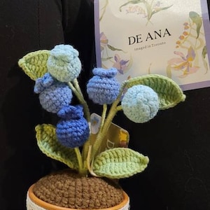 Leslie added a photo of their purchase