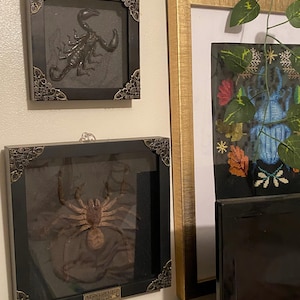 Jade added a photo of their purchase
