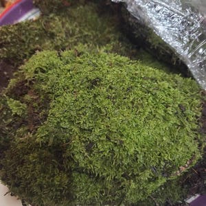 Herbie heeft een foto van zijn/haar aankoop toegevoegd